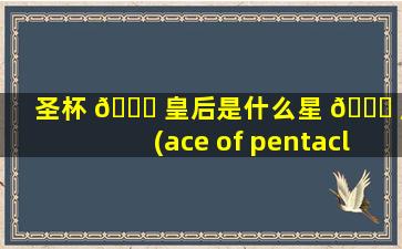 圣杯 🐈 皇后是什么星 🍁 座(ace of pentacles逆位)